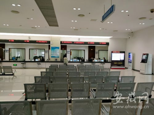 虎年开工首日探访 安徽省政务服务中心窗口人员坚守岗位，热情服务暖人心